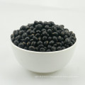 Prime quality dried big black bean